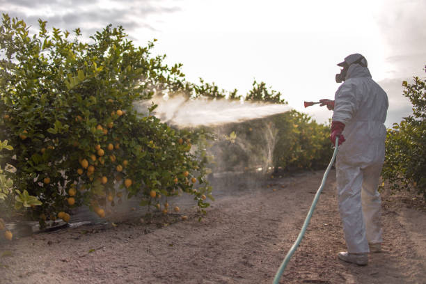 Best Pest Removal Services  in Harahan, LA