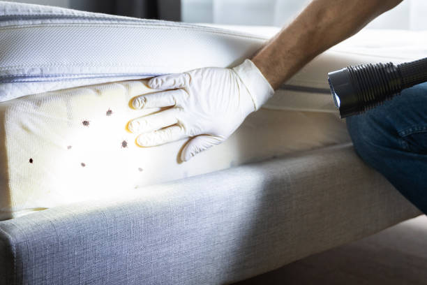 Best Wildlife Control Services  in Harahan, LA