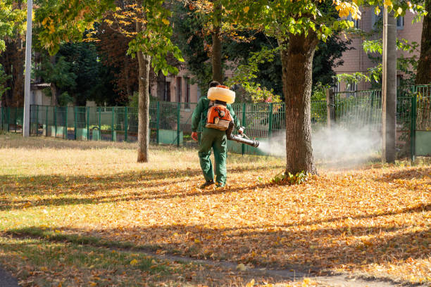 Best Cockroach Control Services  in Harahan, LA