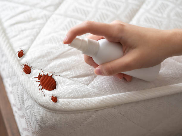 Best Best Pest Control Companies  in Harahan, LA
